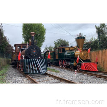 Trains de moteur à vapeur avec livraison rapide